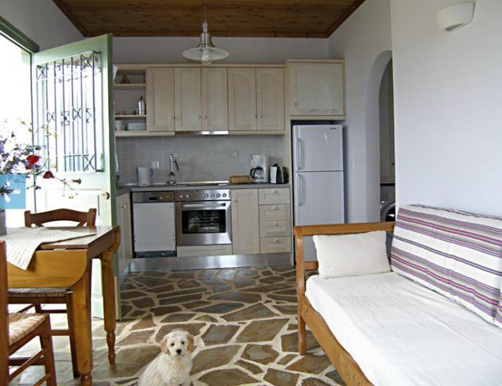 Birds Bay Resort Petra  Quarto foto
